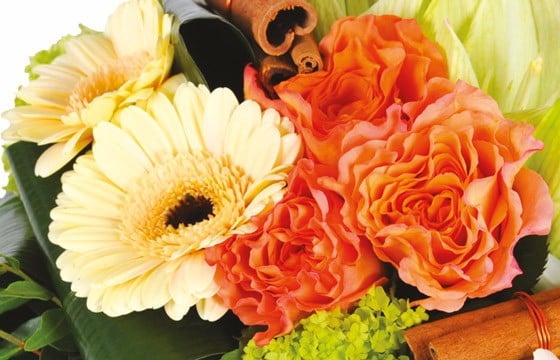zoom sur les gerberas et viburnum du Bouquet de fleurs multicolore Confidence
