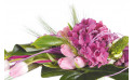 zoom sur un hortensia rose du Bouquet de fleurs Envol