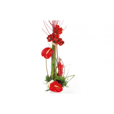 L'Agitateur Floral | Zoom image composition de fleurs Arum