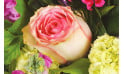 zoom sur une rose rose du bouquet