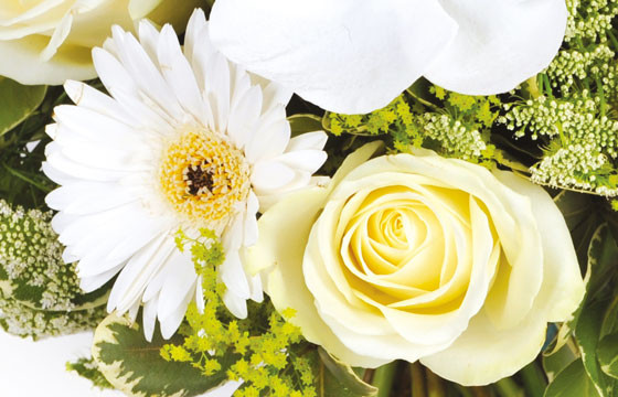 L'Agitateur Floral | zoom sur une rose blanche et un gerbera blanc du bouquet