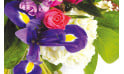 L'Agitateur Floral | zoom sur un ensemble de fleurs du bouquet floral