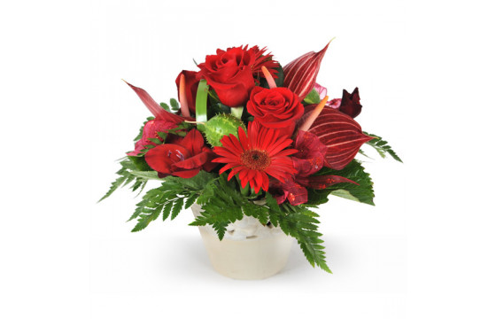 L'Agitateur Floral | image de la composition de fleurs rouges flamboyant