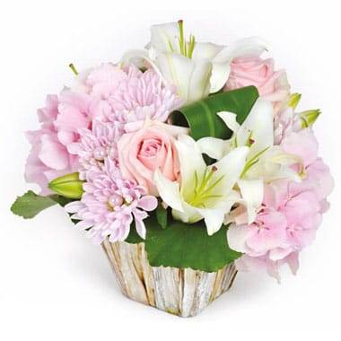 Bouquets Et Compositions Livraison De Fleurs Fraiches L Agitateur Floral