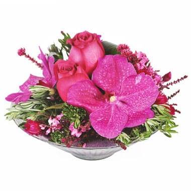 Image de fleur Composition florale Candy Rose