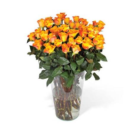 L'Agitateur Floral | image du Bouquet de Roses Oranges longues tiges