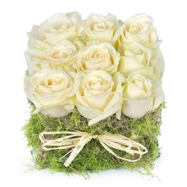 L'Agitateur Floral | image du carré de roses blanches déclaration