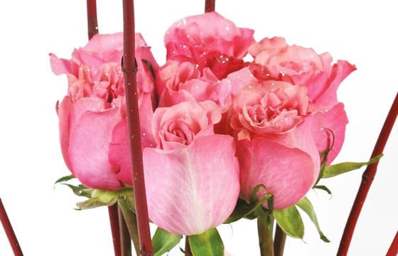 vue sur les roses rose de la composition florale