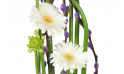 composition de fleurs Diva : zoom sur les germinis blancs