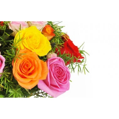 zoom sur trois roses gros boutons jaune, orange, rose