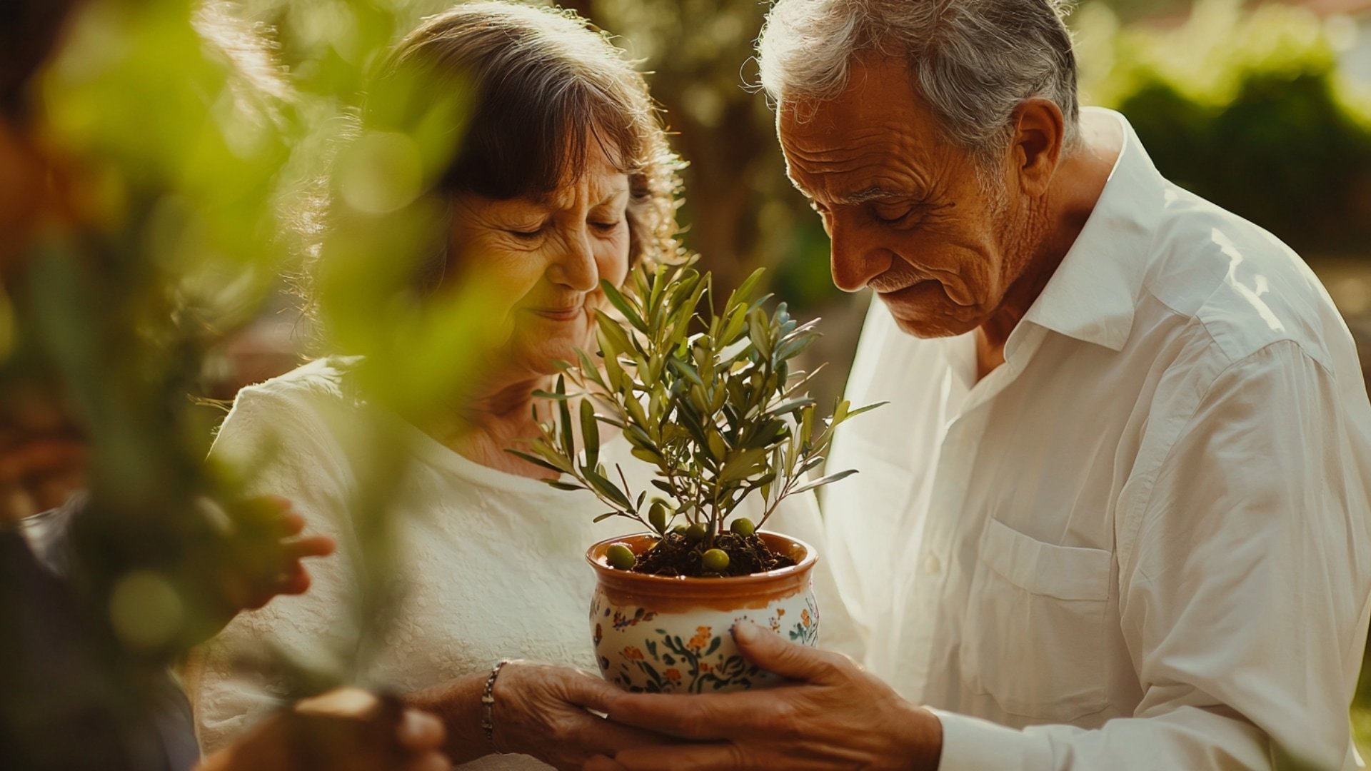 mariés émus recevant un olivier comme cadeau 50 ans de mariage